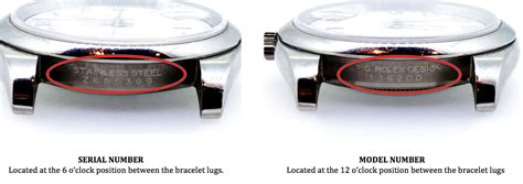 rolex service case serial numbers|rolex value by serial number.